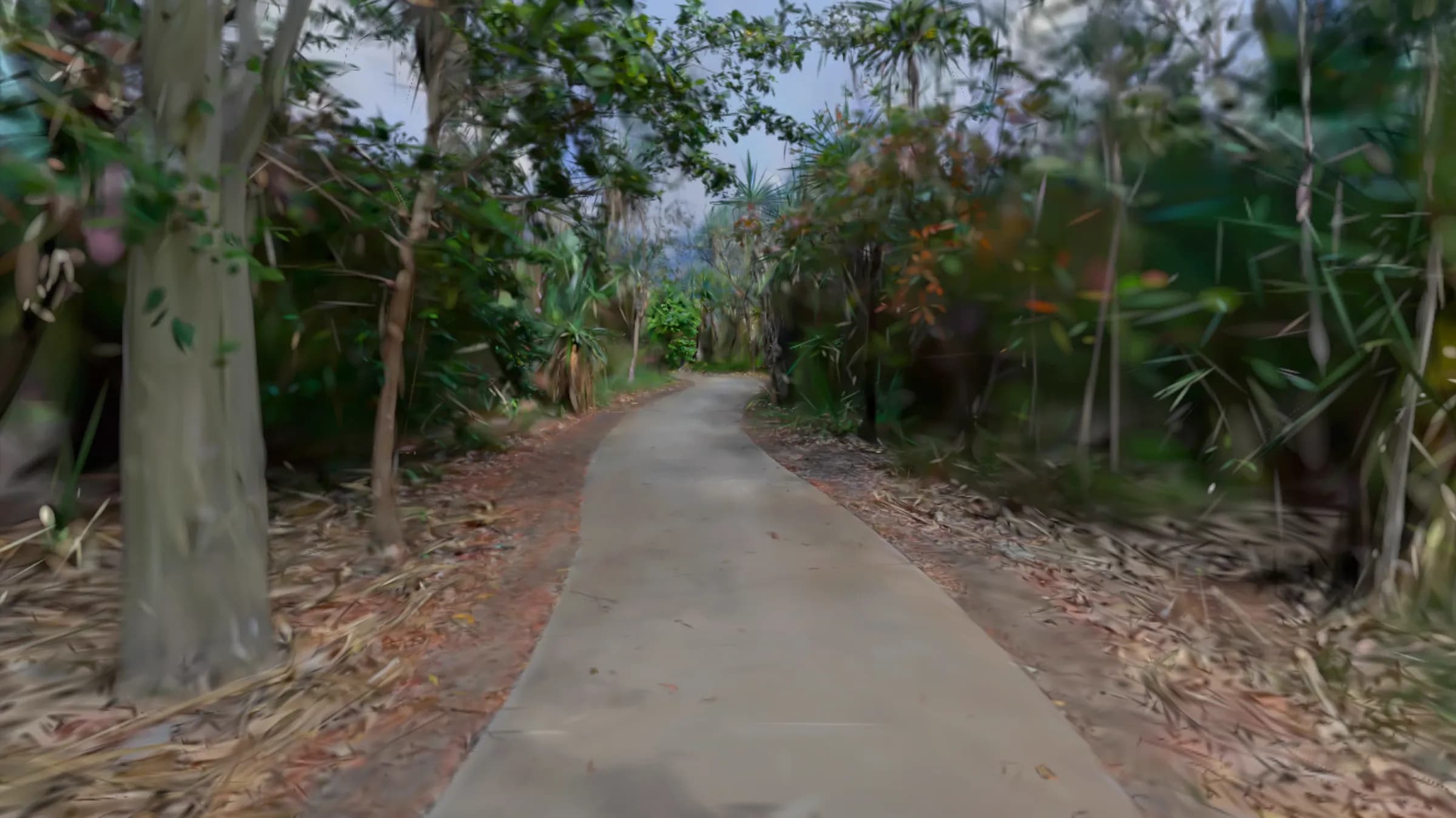 A Gaussian splat capture of a tropical garden path, rendered by Quest Splat