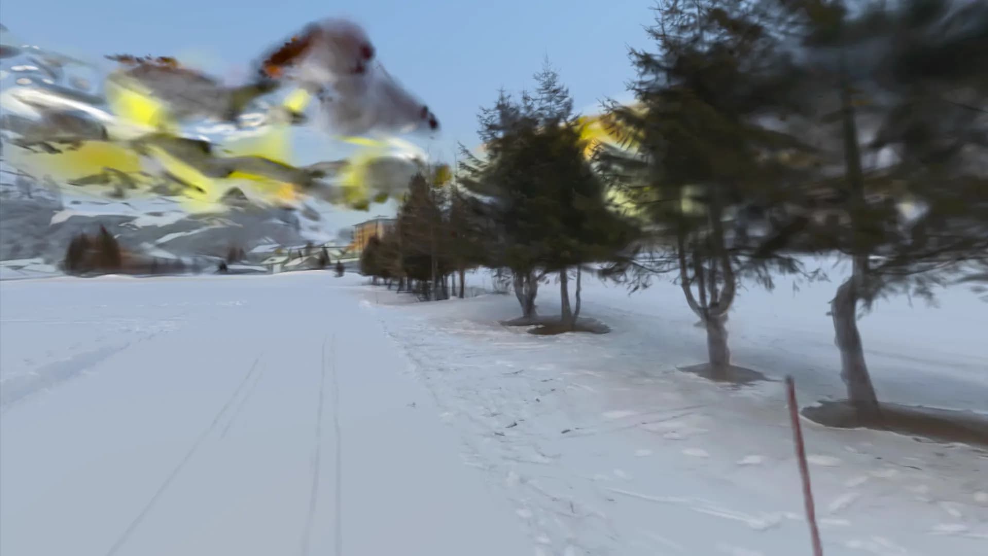 A row of pine trees across a snowy field